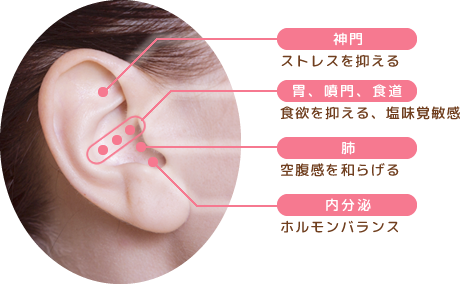6つの耳つぼ・3つの特徴